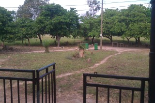 The view from my porch. You can the bins of the school (when or if they get used) and the electricity poles and the night light pole that lights up the compound at night for security. The chairs and tables under the trees is where students buy food in their breaks.